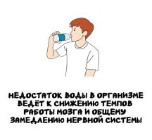 Пиво - это 95% вода!