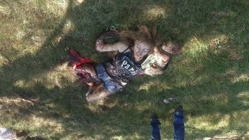 Готов. Вот за это.