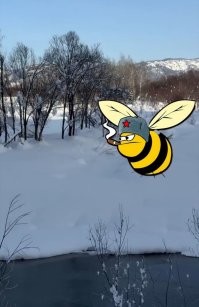 Мужчина поймал молодого соболя на пасеке