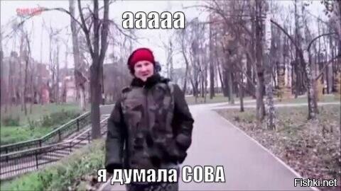 Полицейские спасли раненую сову