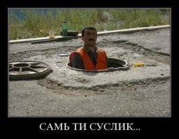 Намешалось