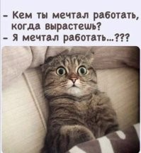 Мужчина пристаёт к пушистому сотруднику магазина