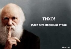 «Полиция, примите меры»: в Нефтекамске сняли опасный трюк на дороге
