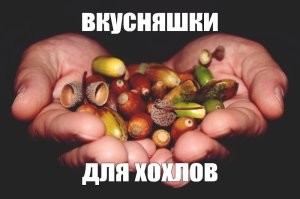 Видео пожаров и блекаутов в Салорейхе выложить?