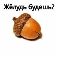 Мужчина напал с ножом на бабушку в магазине