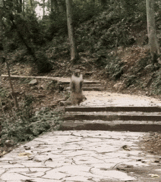 Ну да, попил, пошёл на работу. Как вдруг...