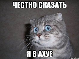 Котэ стрэссанул слегка