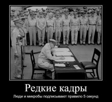 Брехня.
Всем известен закон 5 секунд, вот исторические кадры