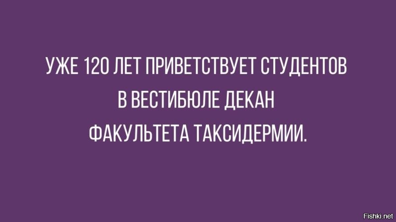 Солянка от 29.01.2026