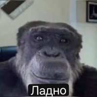 В кинотеатрах Дагестана начали вырезать интимные сцены из фильмов