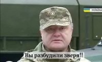 Белочку?