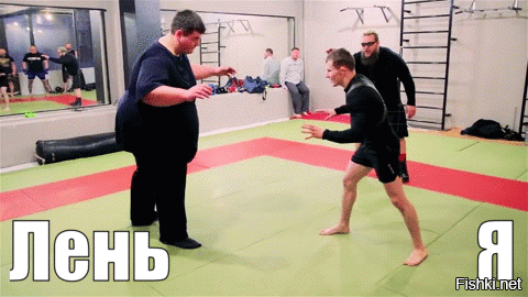 Просто гифки, всякие и&nbsp;разные