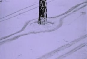 Не могу не поделиться
