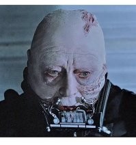 Скрины из соцсетей