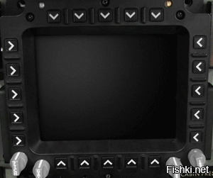 Коала осваивает лазание по деревьям