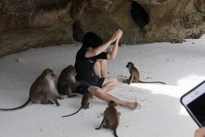 Наблюдал картину, стадо из двух десятков обезьян атаковало туристов, это была дичь полнейшая, почти как стая собак, но которая прыгает и летает со всех сторон. Фото за 10 сек. до происшествия, само нападение не снял, так как спасал туристов отбивая обезьян рюкзаком )