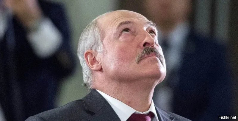 А с картохи так сможет приготовить?