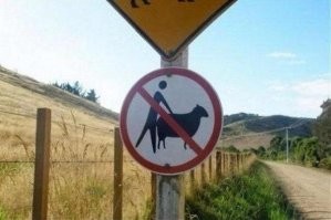 Там своя эротика.