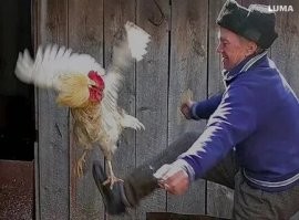 Как советские физики ликвидировали огненный газовый смерч, бушевавший 1034 дня