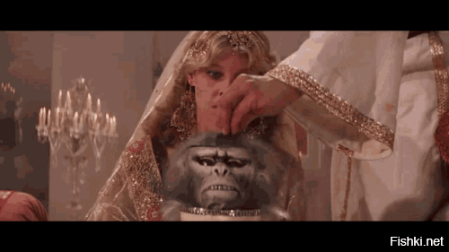 Украл, укусил - под арест: как устроена обезьянья тюрьма