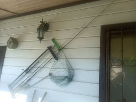 Скрины из соцсетей