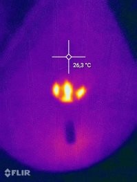 Скрины из соцсетей