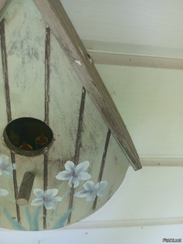 Скрины из соцсетей