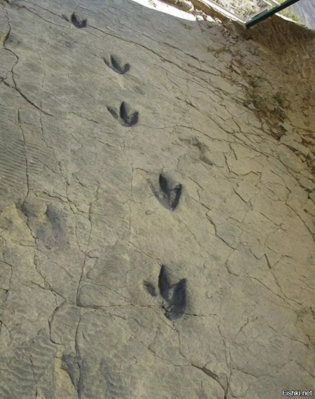 Избушка там на курьих ножках...