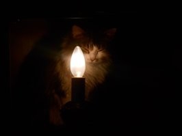 Девушке написал пыльный фетишист