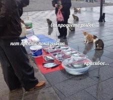 Напомнило мем
Куров продаете
Показываем 
Уютное и комфортное