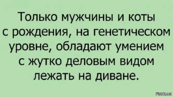 Большая миска улыбатора