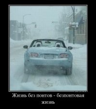 О политике и малость об оппозиции