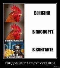 О политике и малость об оппозиции