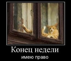 Большая миска улыбатора