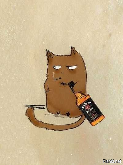 Солянка от 31.01.2026