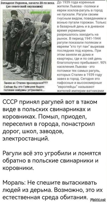 Политическая рубрика от&nbsp;NAZARETH за&nbsp;31.01.26. Новости, события, комментарии - 1998