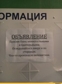 17  объявлений, которые случайно заметили люди и подняли себе настроение