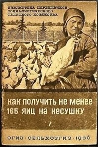Я сам живу в деревне, мама, дедушки и бабушки и прочие пробабушки всю жизнь жили в деревне, выезжая из неё только повоевать - рассказываю. Не знаю как сейчас, а при советской власти никто курицу менее года не резал. Курицу резали когда она переставала нестись - а это больше года. Оттого она была только на суп. И варили её не 40 минут, а 2-3 часа - и даже после этого в ней съедобными были только ноги - остальное имело минимум мяса.