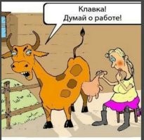 Большая миска улыбатора