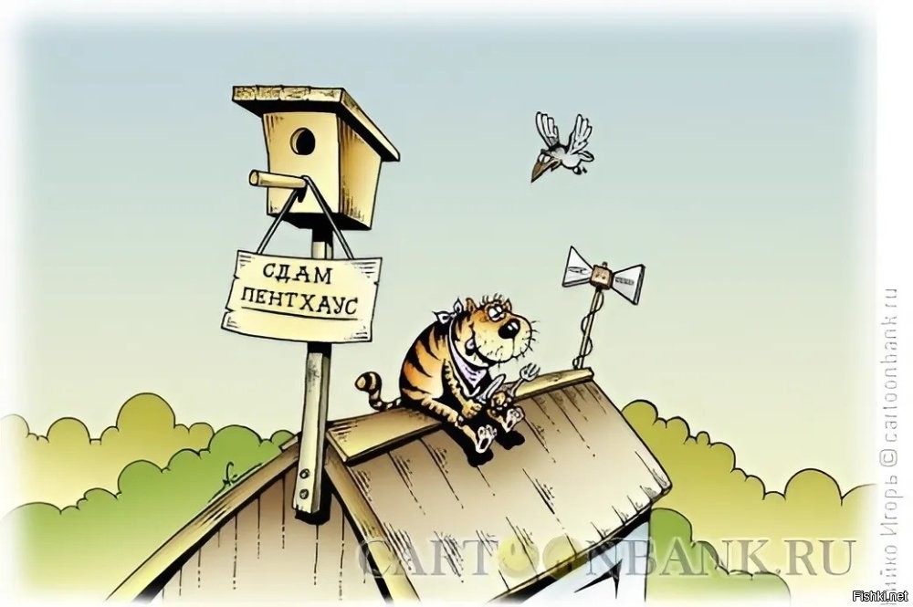 Солянка от 01.02.2026