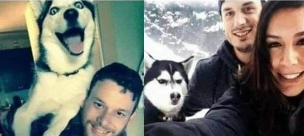 Эту фотку надо постить в паре.