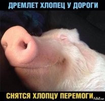 Сколько зарабатывают космонавты