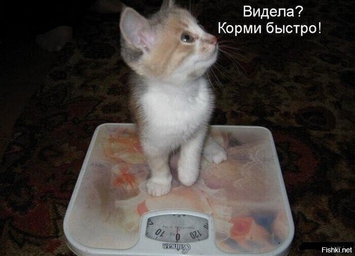 Солянка от 01.02.2026