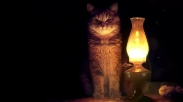 Не, конечно бывают настолько тупые, но, обычно, они не могут научиться читать и писать.