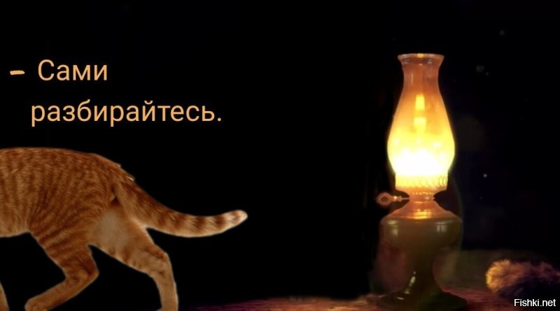 Не, конечно бывают настолько тупые, но, обычно, они не могут научиться читать и писать.