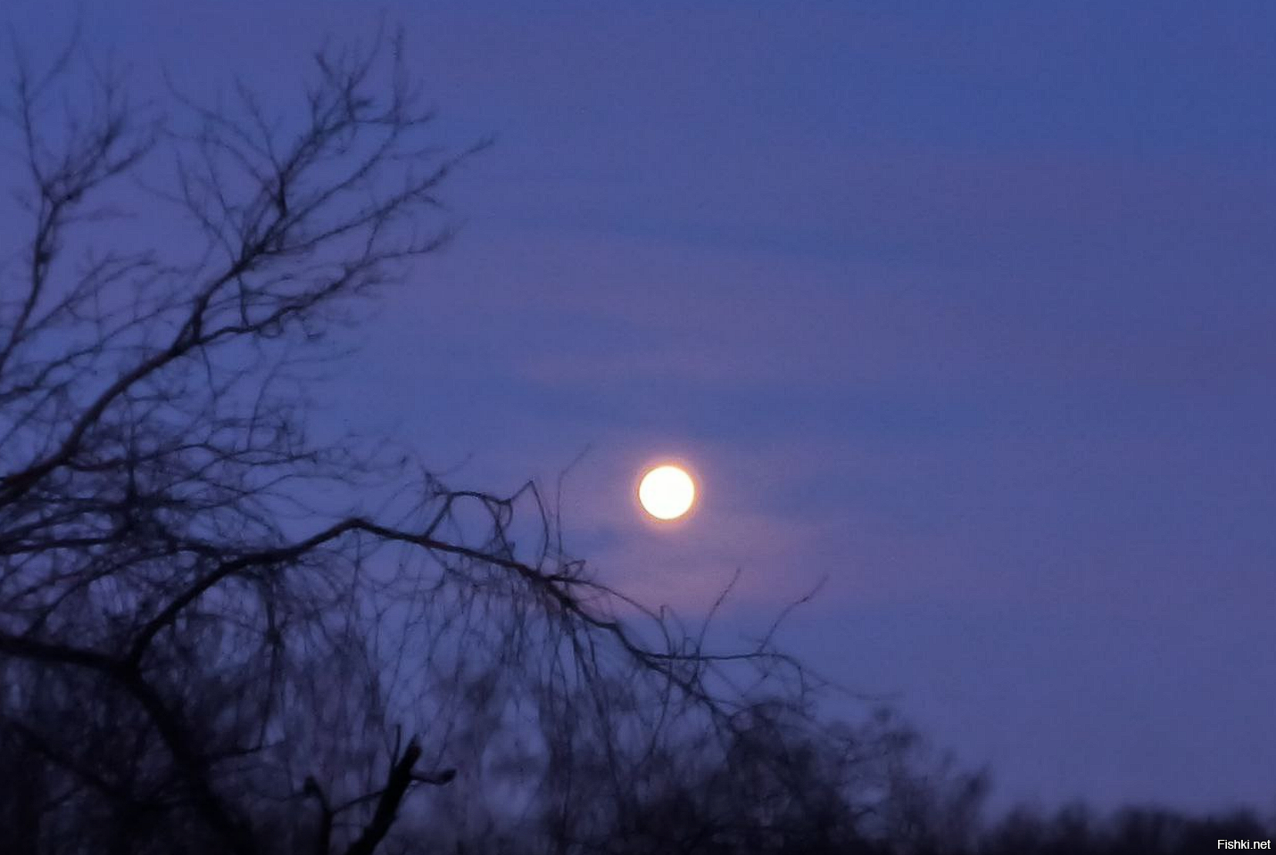 У нас сегодня не хуже была) 
Жаль хорошего фотоаппарата не было, только телефон...)