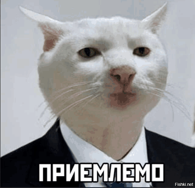 Солянка от 02.02.2026