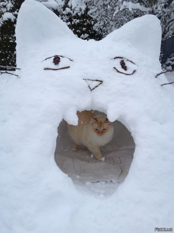Взаимно )