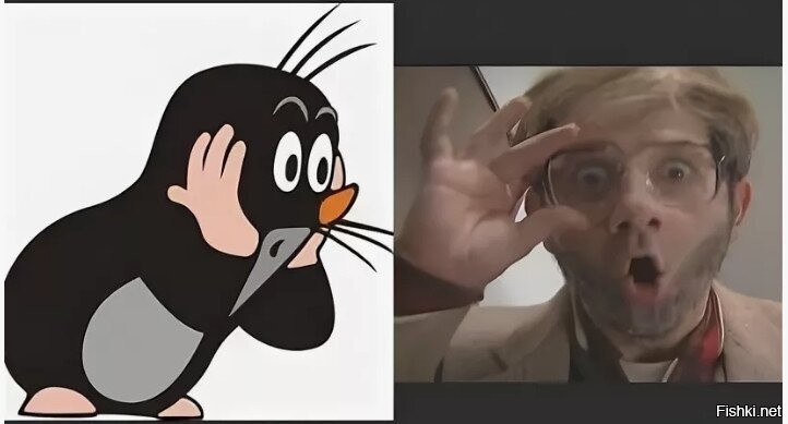 «Под землю ушли магазины цветов и СЛАДОСТЕЙ»