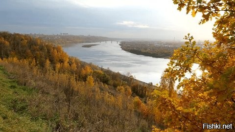 Солянка от 02.02.2026